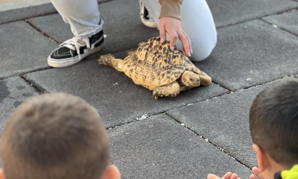 Associação SOS Fauna Exótica visits 