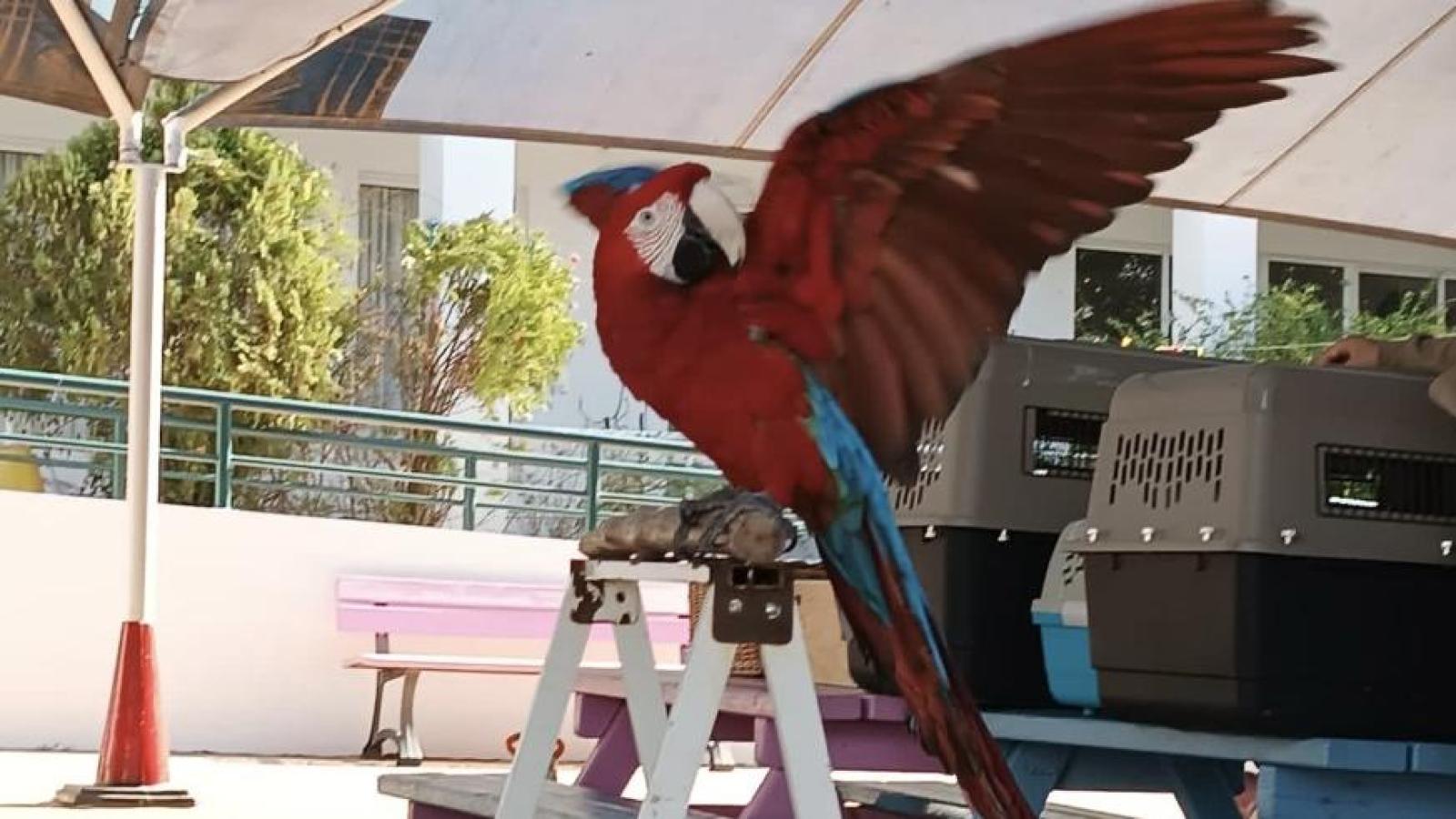 Associação SOS Fauna Exótica visits 