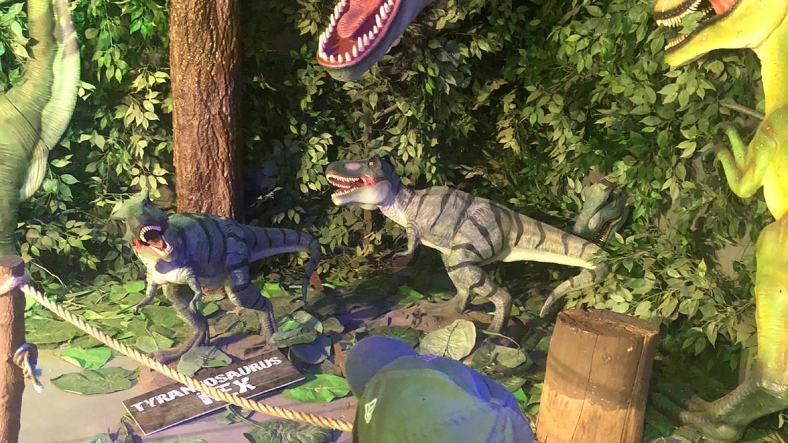 VISIT KRAZYWORLD - Casa de Acolhimento | CAIC 