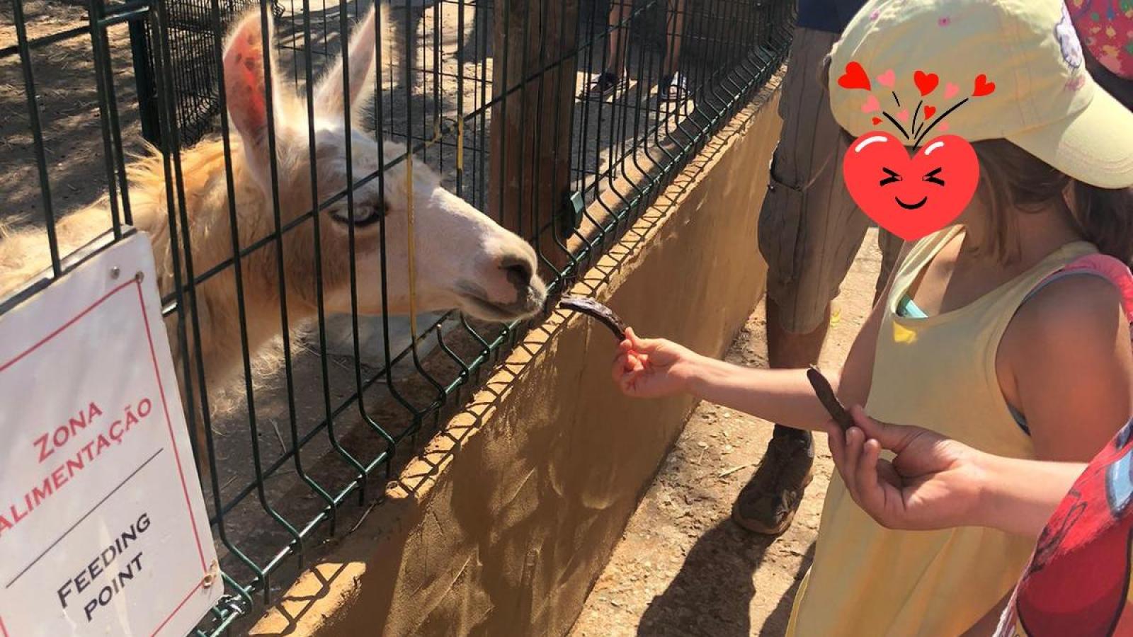 VISIT KRAZYWORLD - Casa de Acolhimento | CAIC 