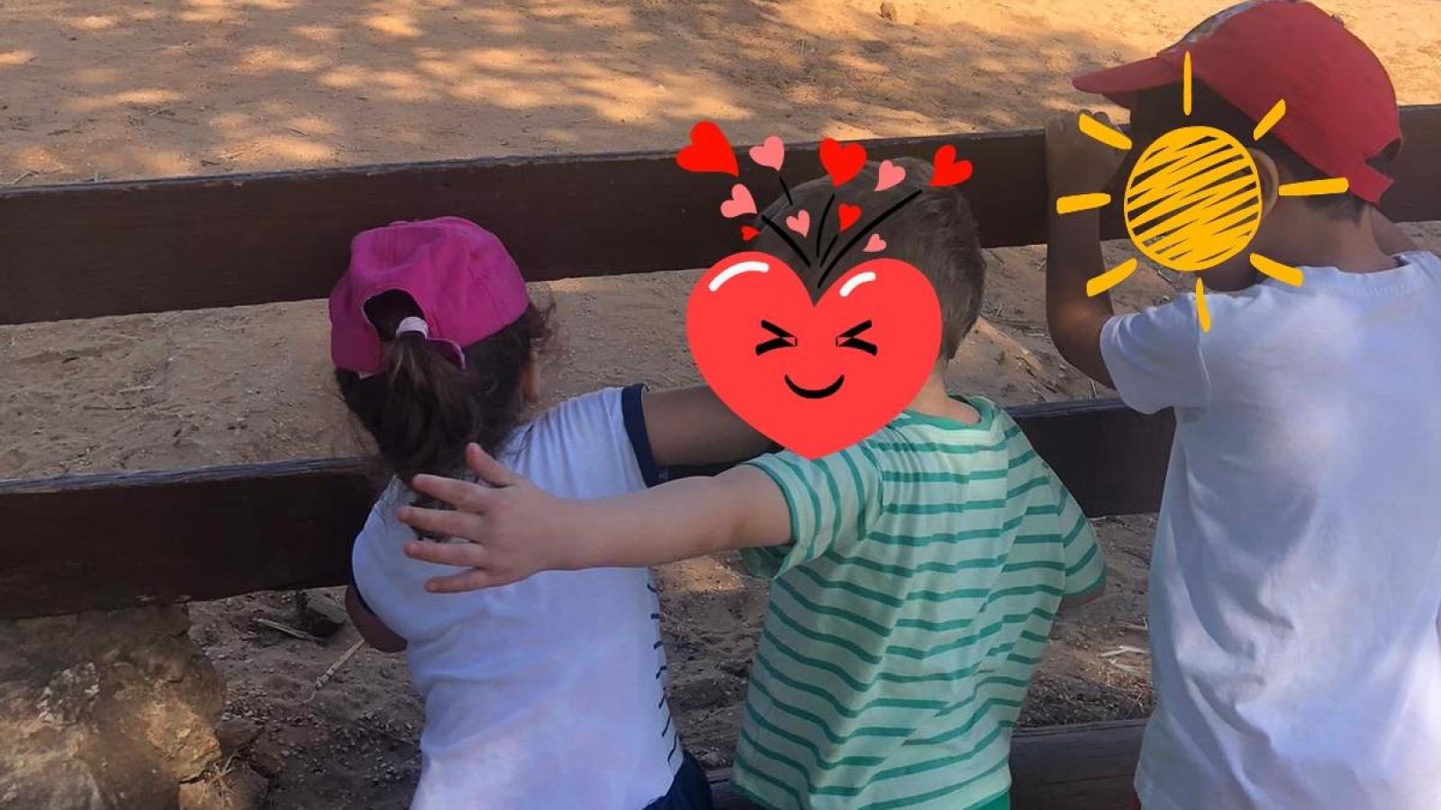 VISIT KRAZYWORLD - Casa de Acolhimento | CAIC 