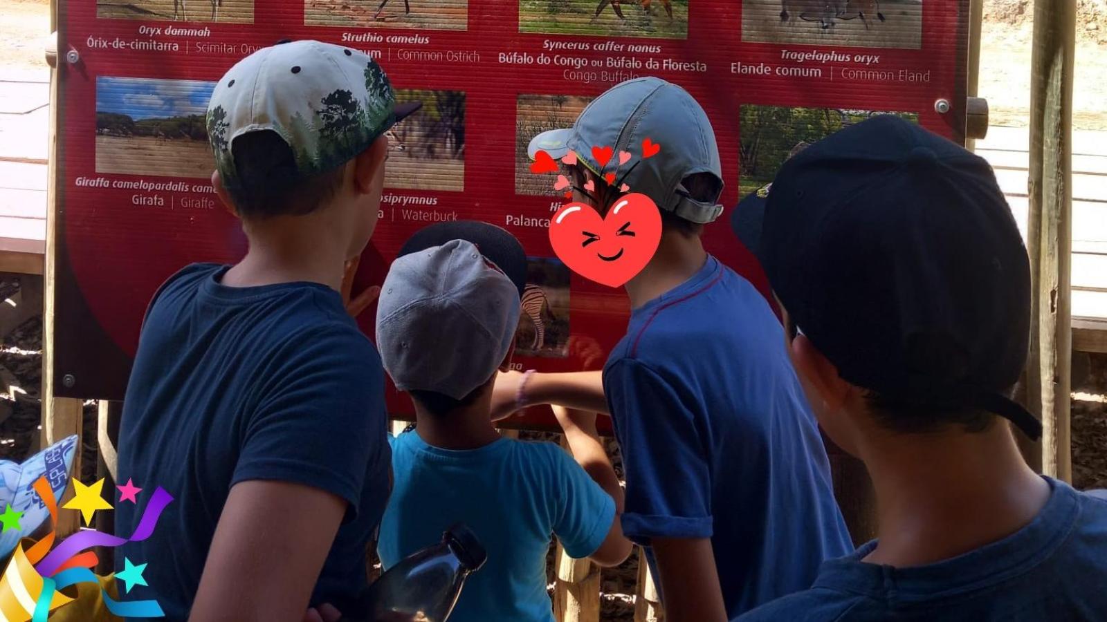 Visite du parc safari de Badoca - Abri CAIC 