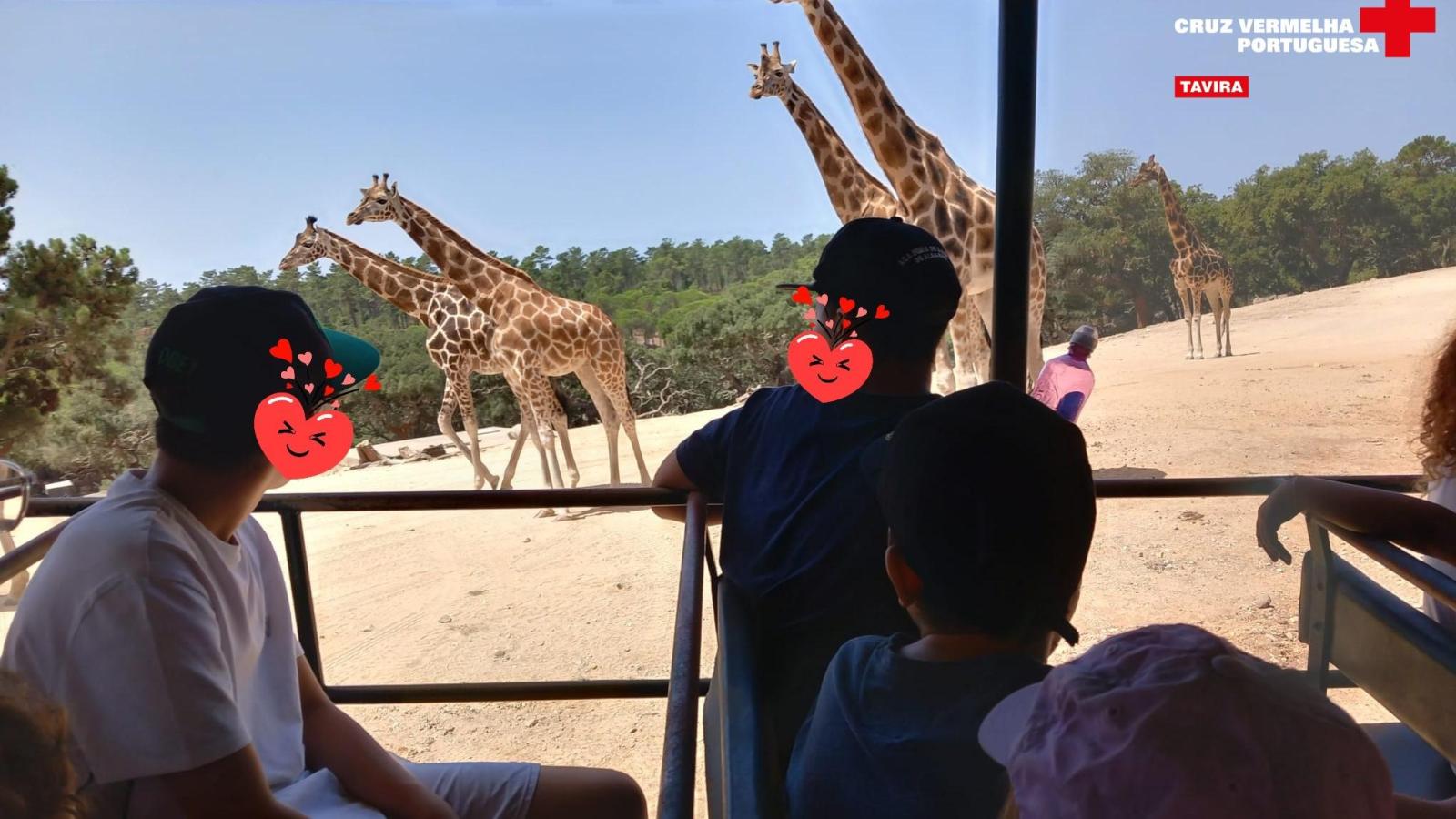 Visite du parc safari de Badoca - Abri CAIC 