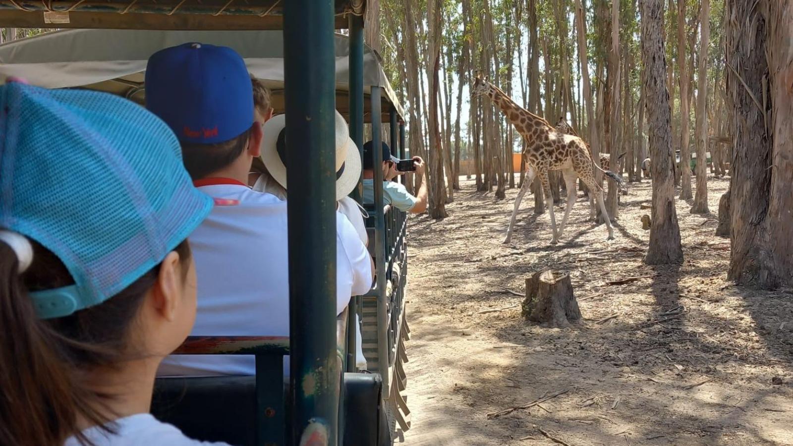 Visite du parc safari de Badoca - Abri CAIC 