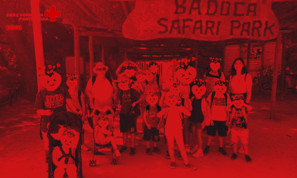 Visite du parc safari de Badoca - Abri CAIC 