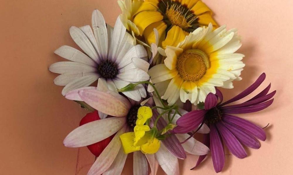 Na Casa de Acolhimento do CAIC “A Gaivota”, demos as boas-vindas à Primavera