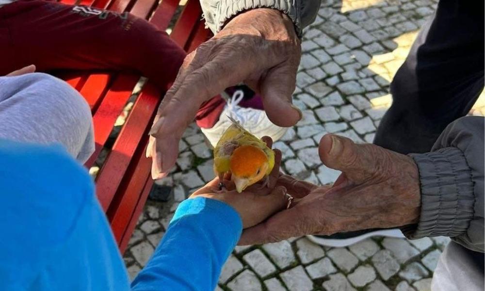 Famille d'accueil : Des week-ends aux couleurs du printemps