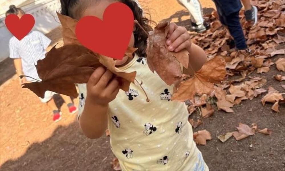 Pequenos exploradores á descoberta do outono – Creche “Os Piratinhas”